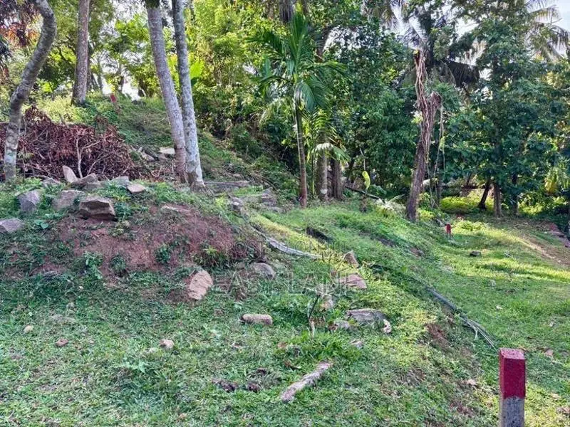 පර්චස් 85 ක ඉඩම අංගසම්පූර්ණ දෙමහල් නිවසක් / SA 12720