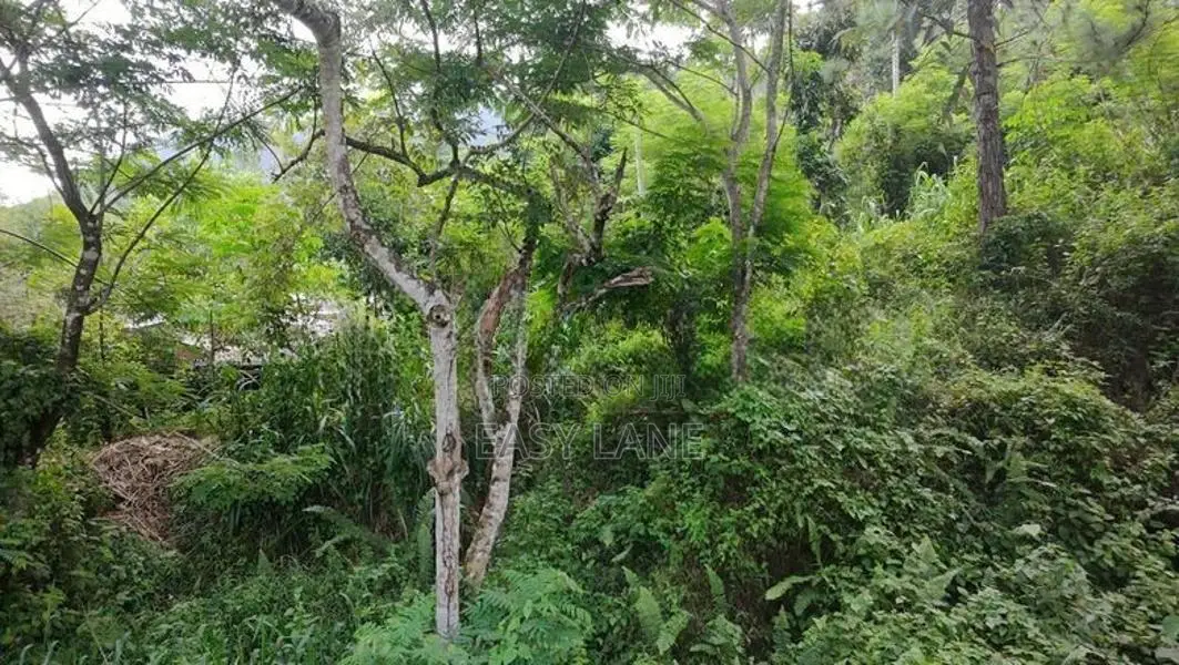 Land for sale in Haputhale / SA 13156