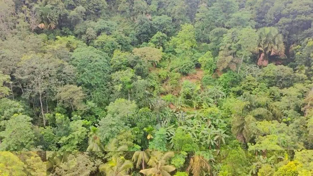 Land for sale in gonagaldeniya / SA 13750