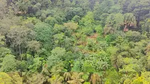 Land for sale in gonagaldeniya / SA 13750