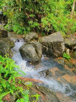 Land for sale in gonagaldeniya / SA 13750