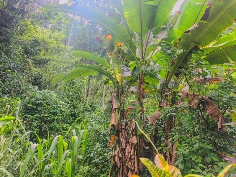 Land for sale in gonagaldeniya / SA 13750