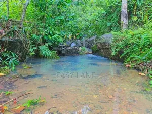 Land for sale in gonagaldeniya / SA 13750