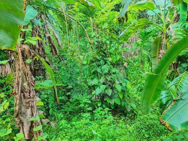 Land for sale in gonagaldeniya / SA 13750