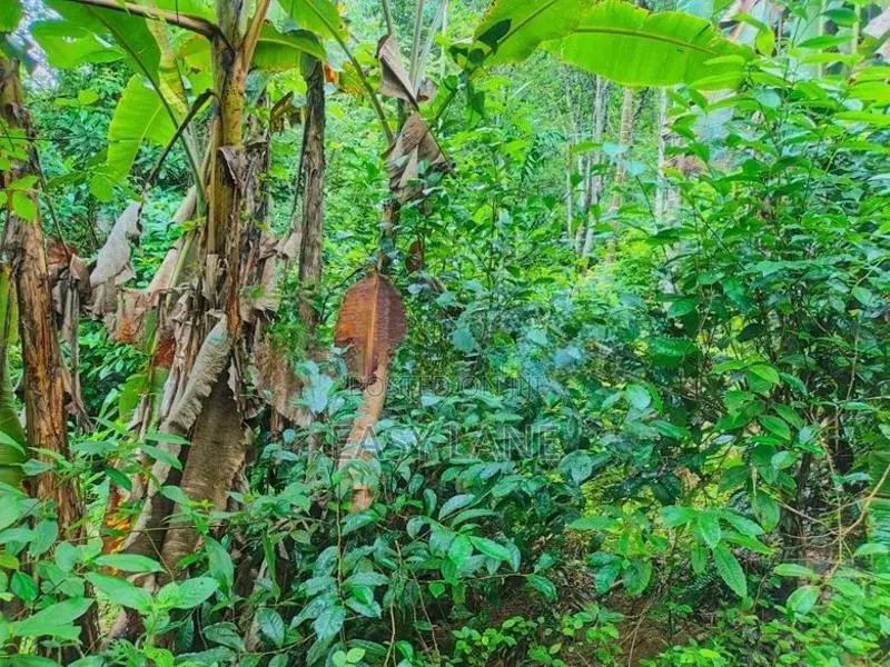 Land for sale in gonagaldeniya / SA 13750