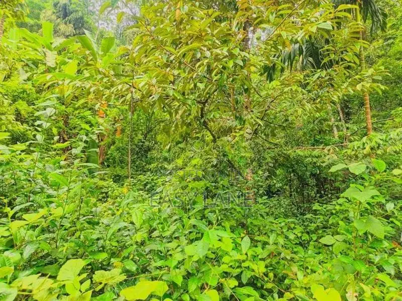Land for sale in gonagaldeniya / SA 13750