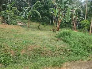 Residential Land for Sale in Thalagala - DIL060L
