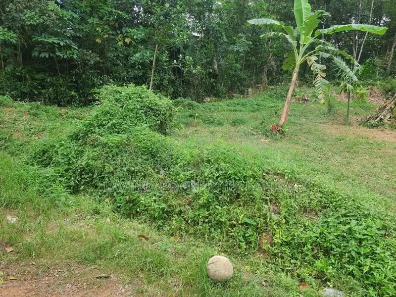Residential Land for Sale in Thalagala - DIL060L