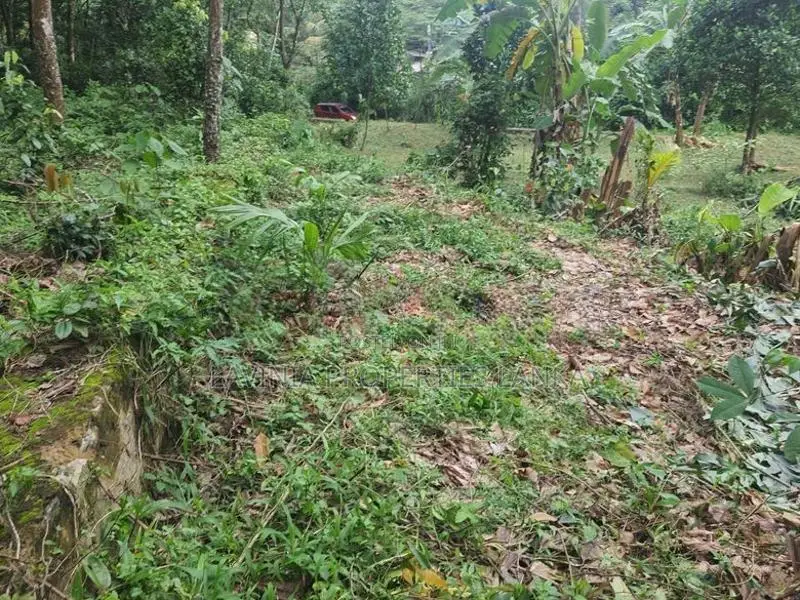 Residential Land for Sale in Thalagala - DIL060L