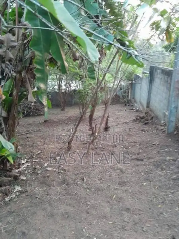 Land for sale in kandy / SA 10937