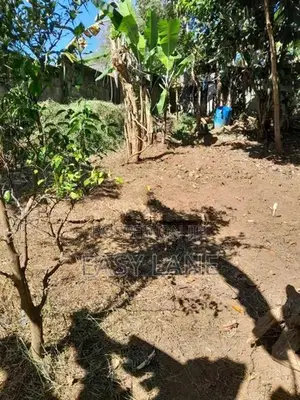 Land for sale in kandy / SA 10937
