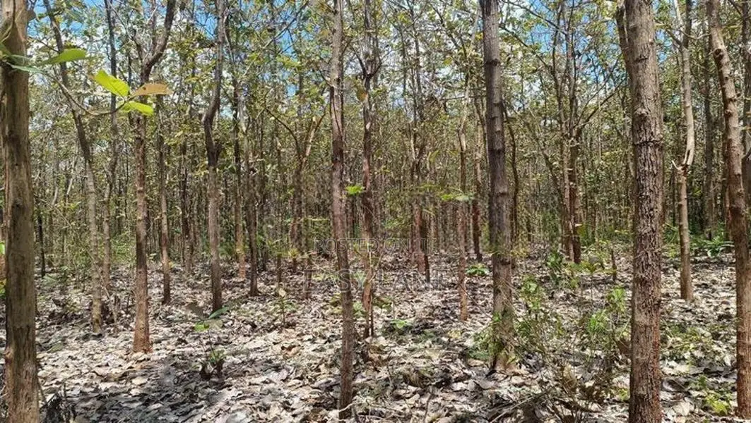 Land for sale in Anuradhapura / SA 12652