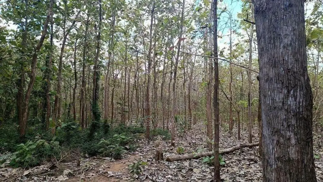 Land for sale in Anuradhapura / SA 12652