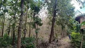 Land for sale in Anuradhapura / SA 12652