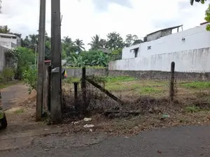 Valuable Land for Sale – Homagama / Walipillawa