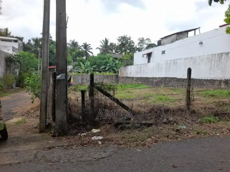 Valuable Land for Sale – Homagama / Walipillawa