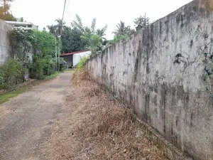 Valuable Land for Sale – Homagama / Walipillawa