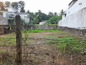 Valuable Land for Sale – Homagama / Walipillawa