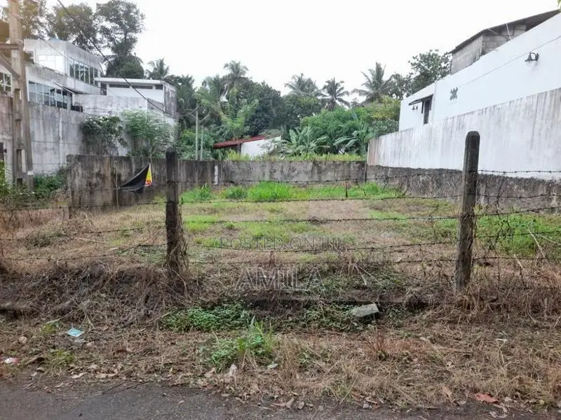 Valuable Land for Sale – Homagama / Walipillawa