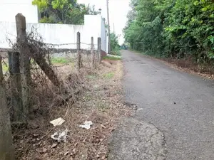 Valuable Land for Sale – Homagama / Walipillawa
