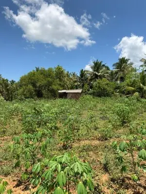 Abilipitiya 3 Ace Land For Sale