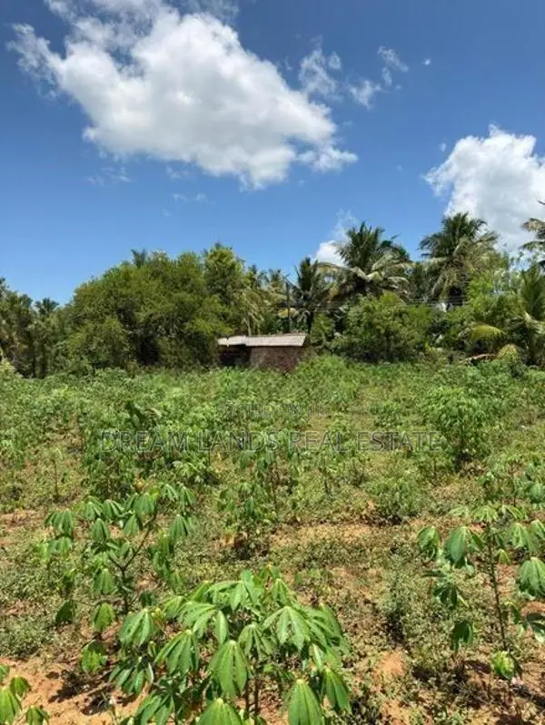 Abilipitiya 3 Ace Land For Sale