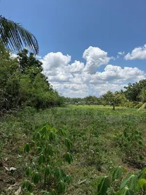 Abilipitiya 3 Ace Land For Sale