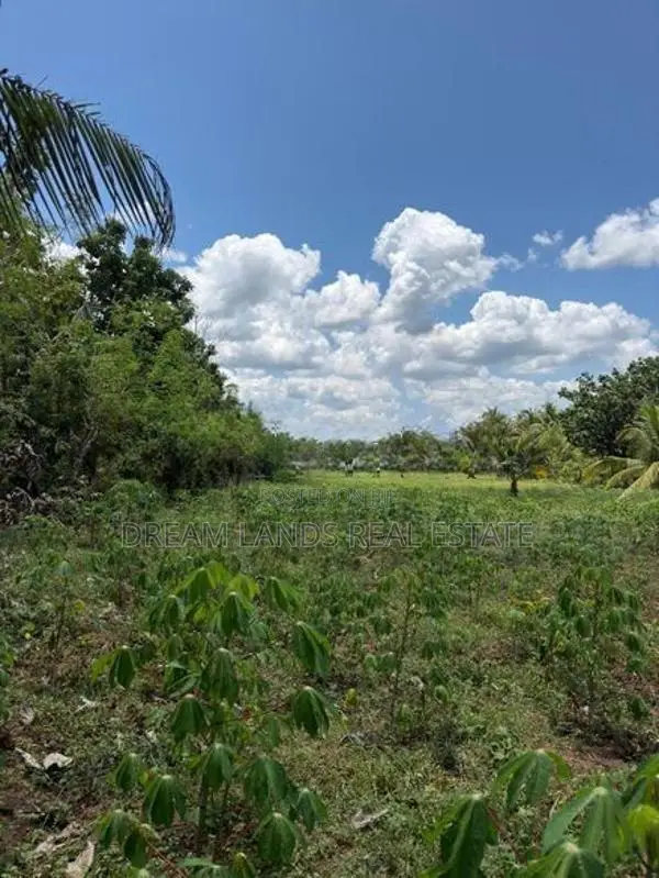 Abilipitiya 3 Ace Land For Sale