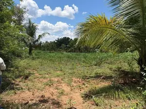 Abilipitiya 3 Ace Land For Sale