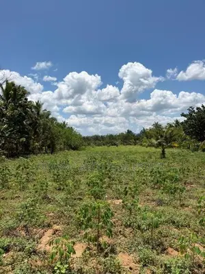 Abilipitiya 3 Ace Land For Sale