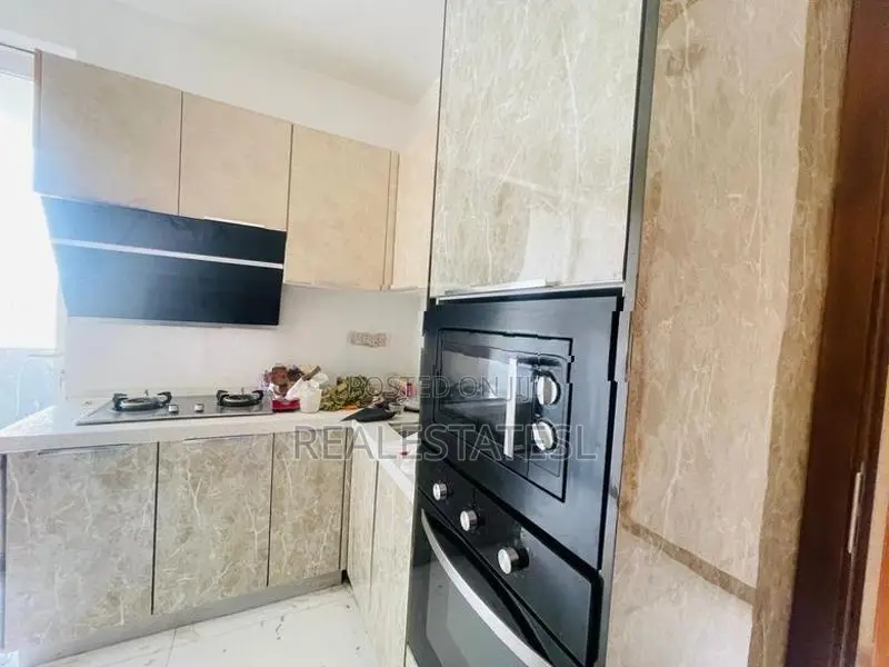 Two Luxury 1700 Sqft 3 bed Aprtments for rent - Closer to Havelock cit
