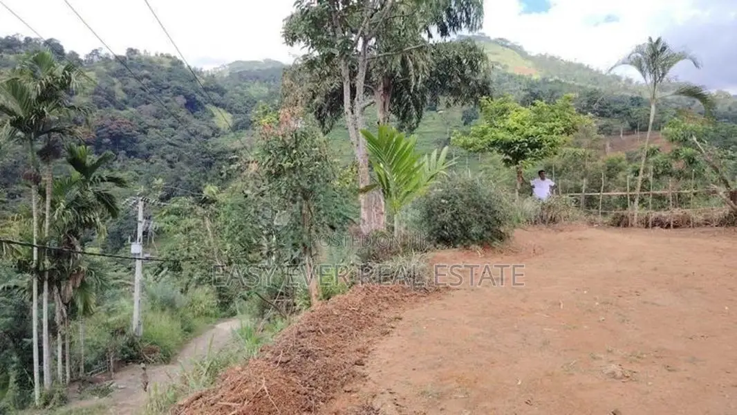 Land for sale in theldeniya / KR 14227