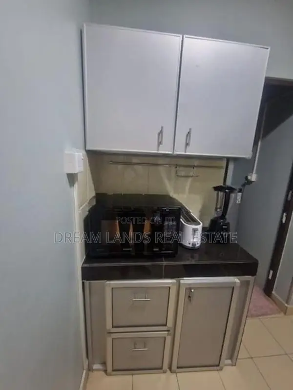 Metro furnished apartment for rent colombo 2