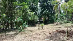 Land for sale in yakkala / CA 15818