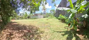 කඩවත නගර මධ්‍යයෙන් නුවර පාරට 250m / YS 14476