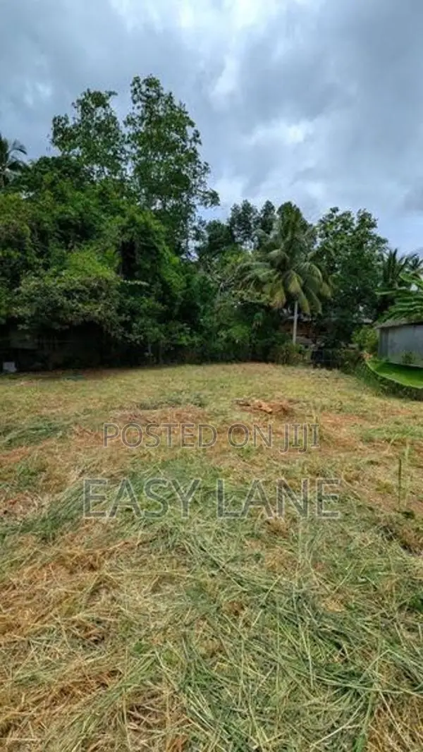 කඩවත නගර මධ්‍යයෙන් නුවර පාරට 250m / YS 14476