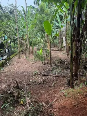 Land For Sale In Pannipitiya