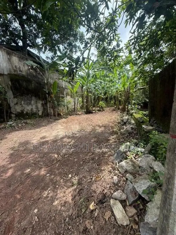 Land For Sale In Pannipitiya