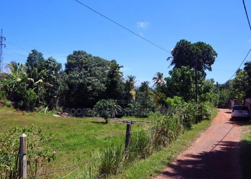 Land with Excellent Development Potential