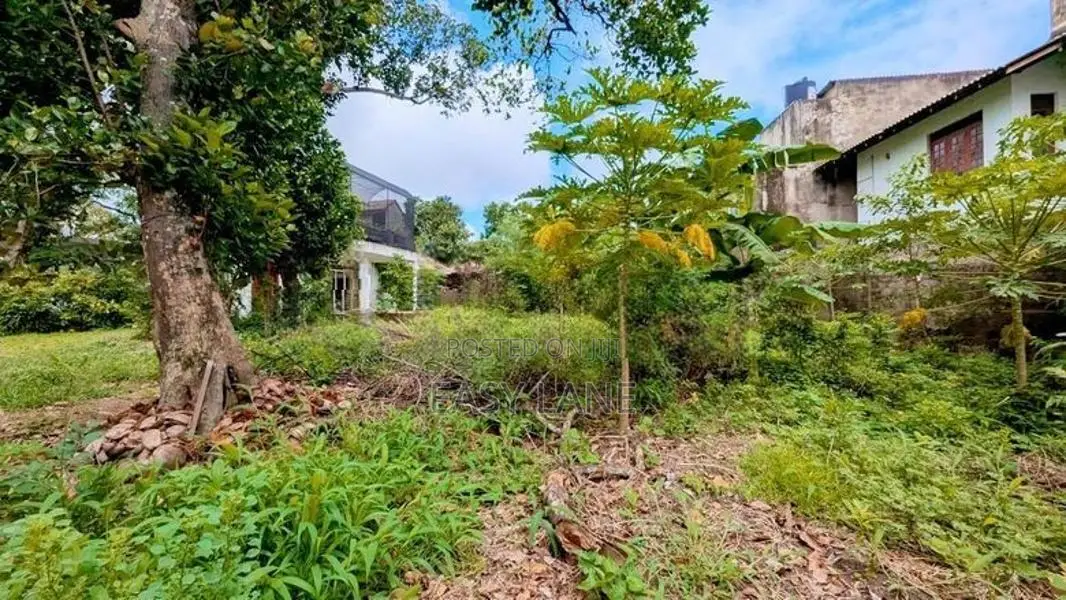 Land for sale in wattala Hunupitiya / KM 10628