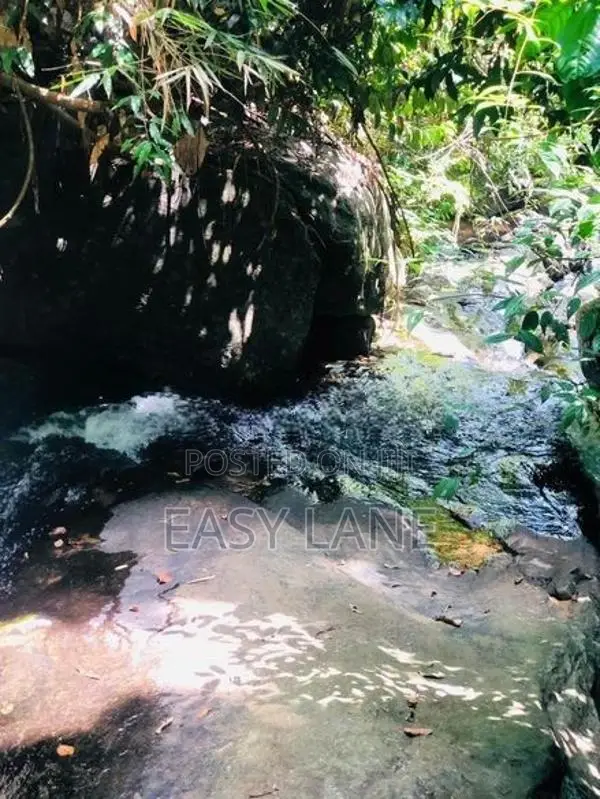 සුන්දර දිය පාරකට මායිම් අක්කර 2.5 ක ඉඩමක් / SA 14099