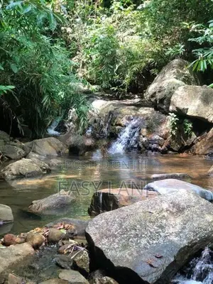 සුන්දර දිය පාරකට මායිම් අක්කර 2.5 ක ඉඩමක් / SA 14099