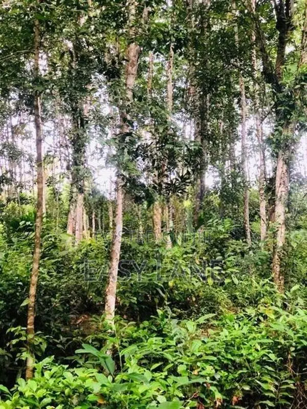 සුන්දර දිය පාරකට මායිම් අක්කර 2.5 ක ඉඩමක් / SA 14099