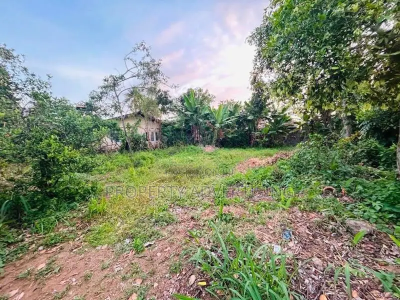 Kelaniya Excellent Land for Sale