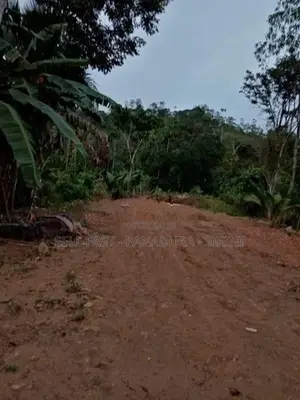 Land for sale - Pitigala