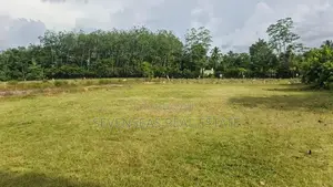 10P Super Residential Land Plots For Sale in Eheliyagoda
