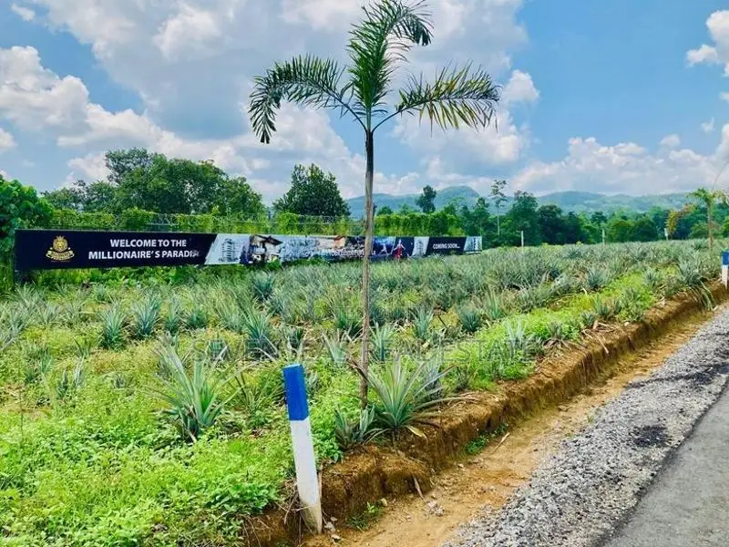 Commercial Land Sale in Eheliyagoda