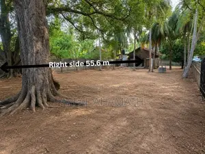 Arugambay Land For Sale Or Lease