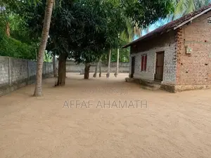 Arugambay Land For Sale Or Lease