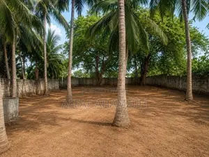 Arugambay Land For Sale Or Lease